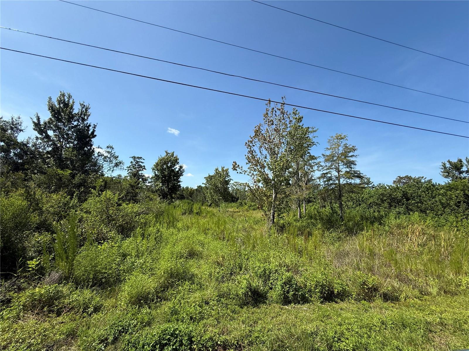 This lot offers almost a full acre of land in Subdivision Canarval Acres of St Cloud. The community allows farm animals and no HOA so you have the freedom to have your own mini farm if you like. There is plenty of room to roam and smell the fresh air. It is also close to town, shopping, restaurants, ocean etc. It's just off the main road of 192 and easy to get to your own piece of serenity. There is a community park with basketball court, pavilion, playground, and walking path. Buyer and or buyers agent to verify all information.