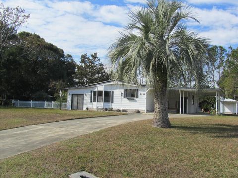 A home in LADY LAKE