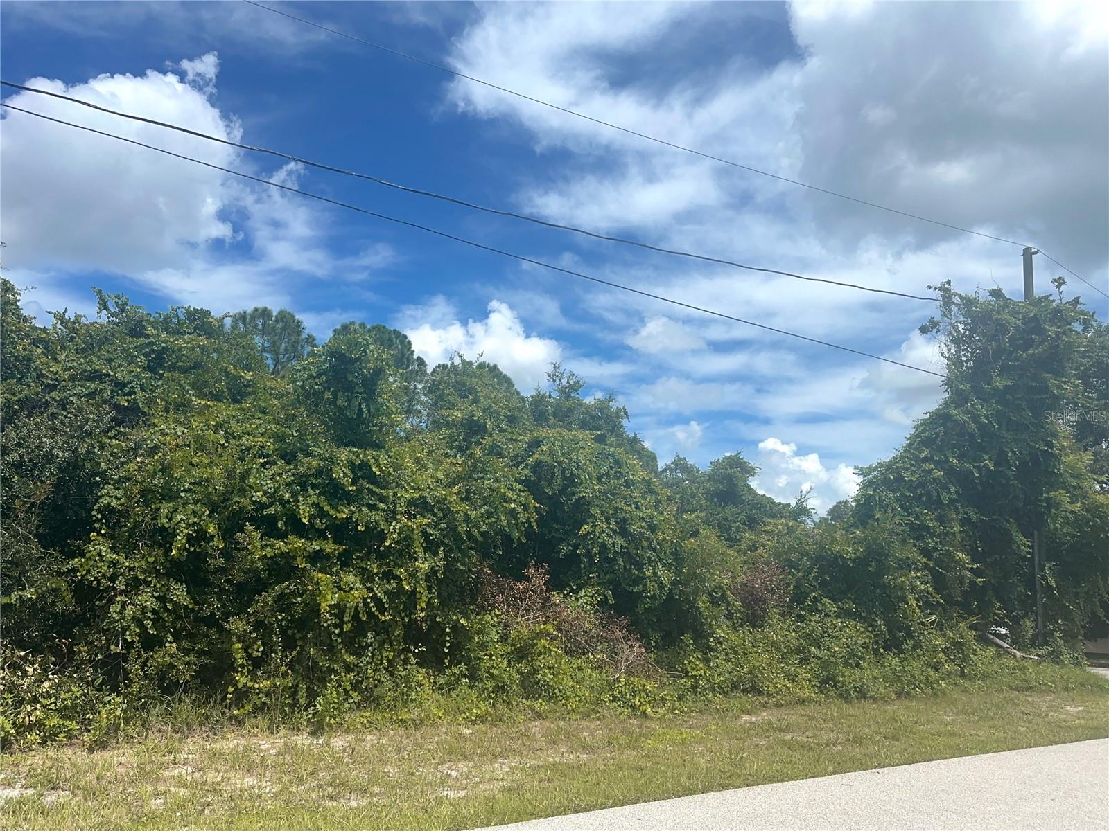 DELTONA LAKES UNIT 53 - Land