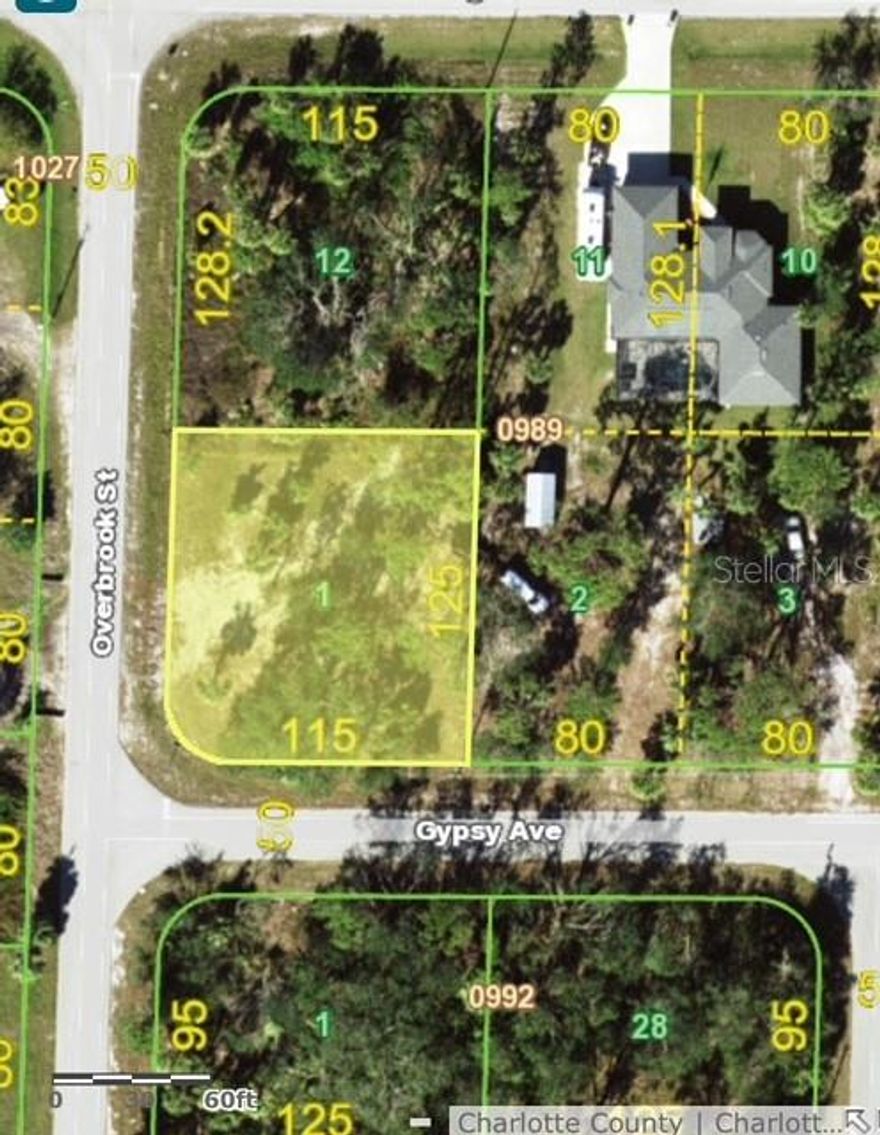 This is the one! This oversized corner lot is the perfect spot for your new home. Located just minutes from dining, shopping, entertainment, and I-75 for an easy commute. The lot has been mostly cleared aside from a few trees. Enjoy the privacy and convenience this location offers.
Not much preparation needed. Call your favorite builder or purchase as an investment.