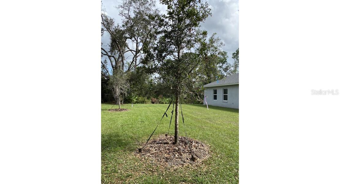 PORT CHARLOTTE SUB 28 - Residential