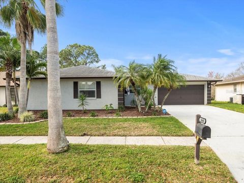 A home in TAMPA