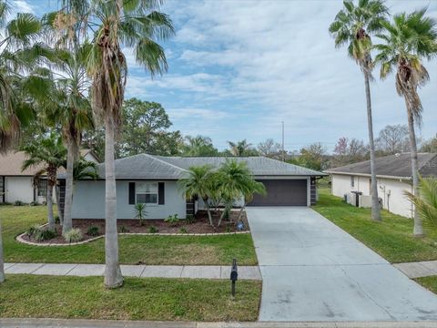 A home in TAMPA