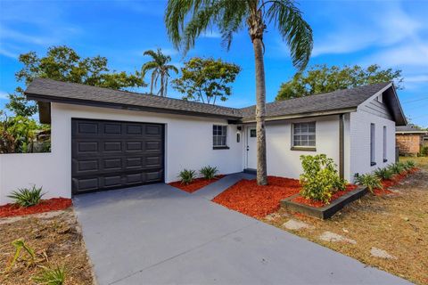 10906 N 28TH STREET TAMPA FL 33612