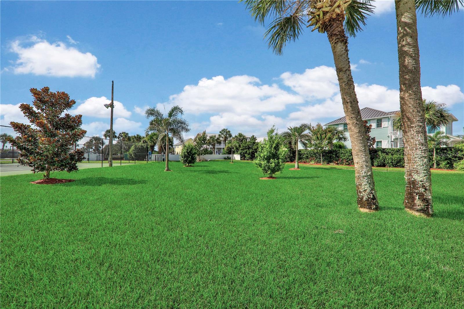 DIAMOND HEAD POINT CONDO - Residential