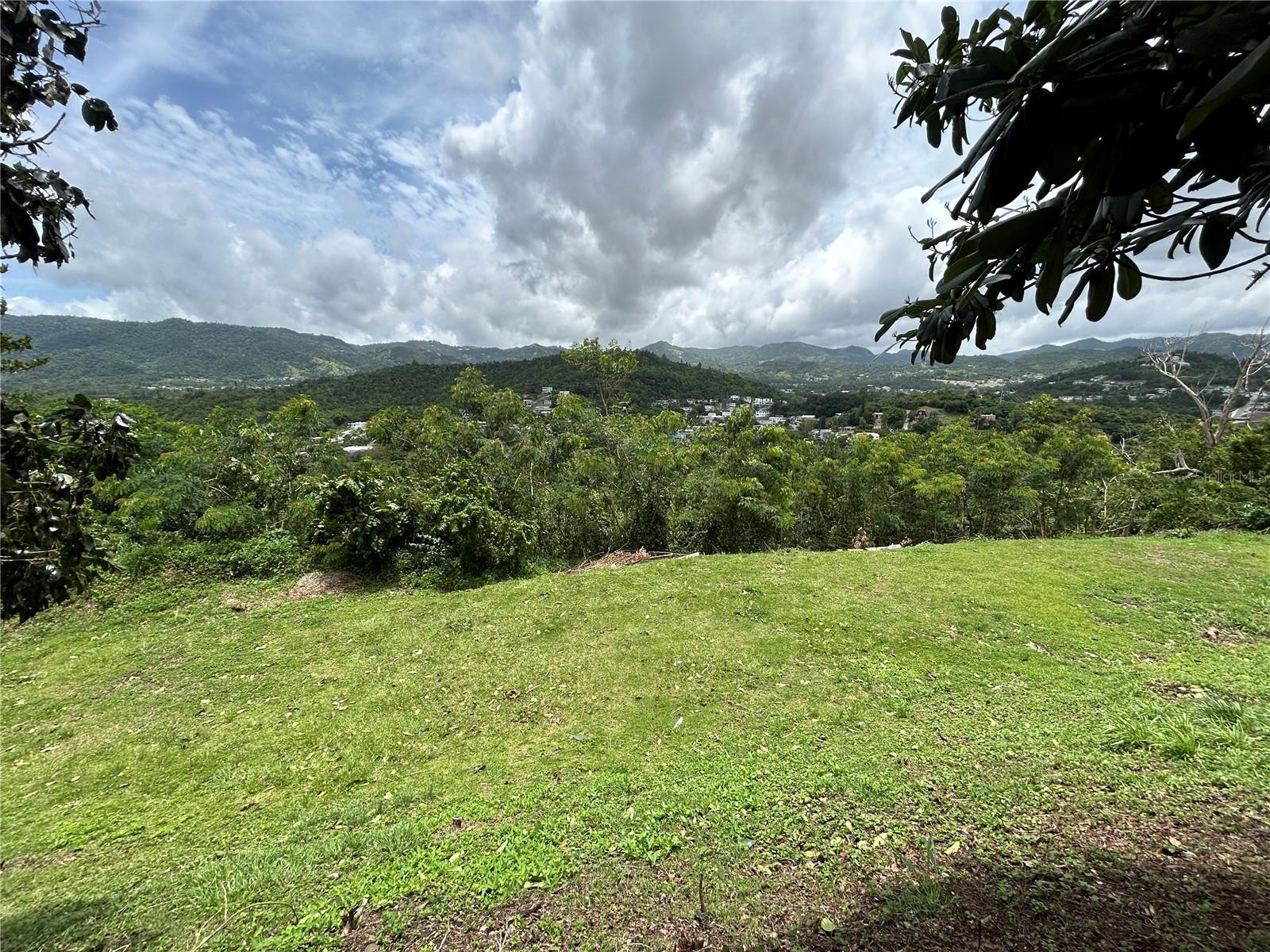 RINCON WARD, LOMA PILFO SECTOR - Land