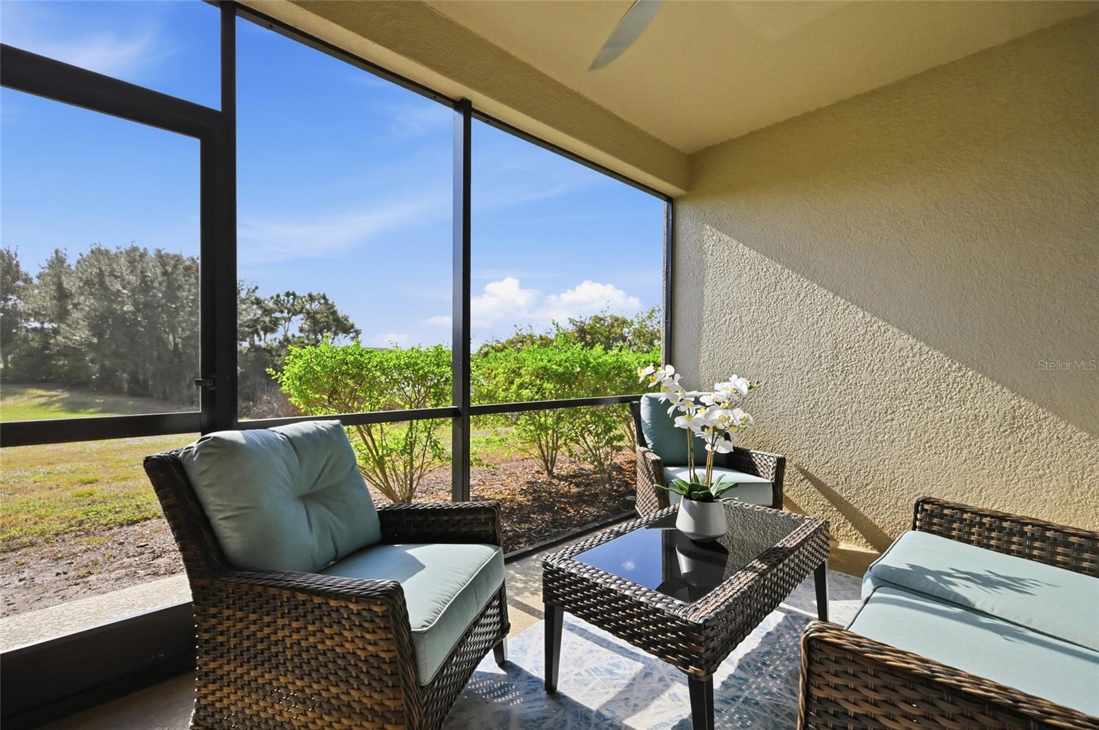 BACCIANO IV AT ESPLANADE LAKEWOOD RANCH - Residential