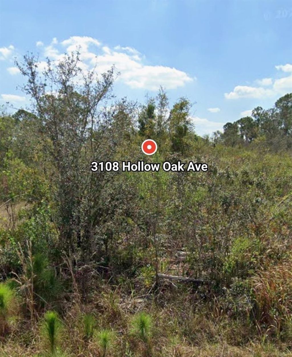 Photo of 3108 Hollow Oak Avenue, Lake Placid, FL 33852 (MLS # P4936194)