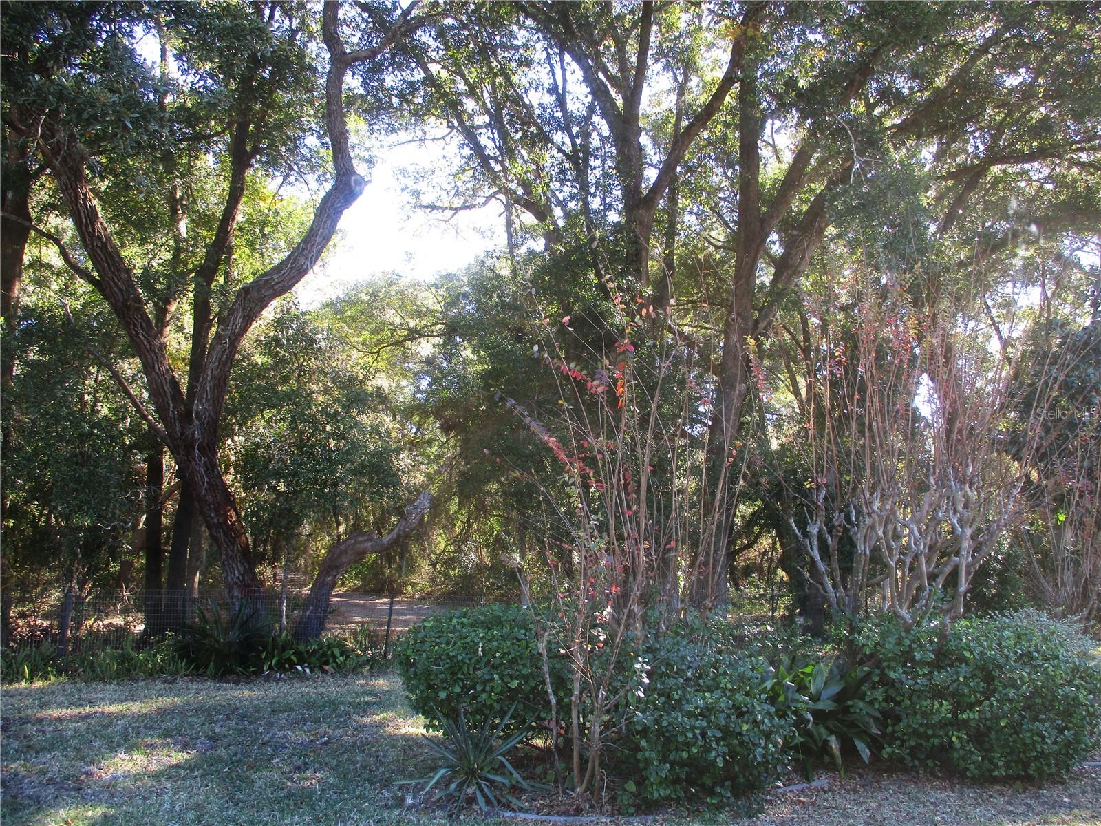 SPRUCE CRK PRESERVE 03 - Residential