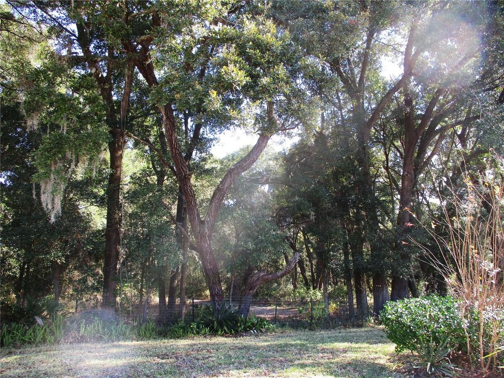 Photo of 14652 SW 112th Circle, Dunnellon, FL 34432 (MLS # OM714785)