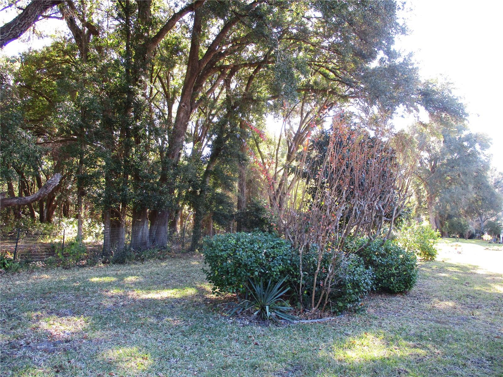 SPRUCE CRK PRESERVE 03 - Residential