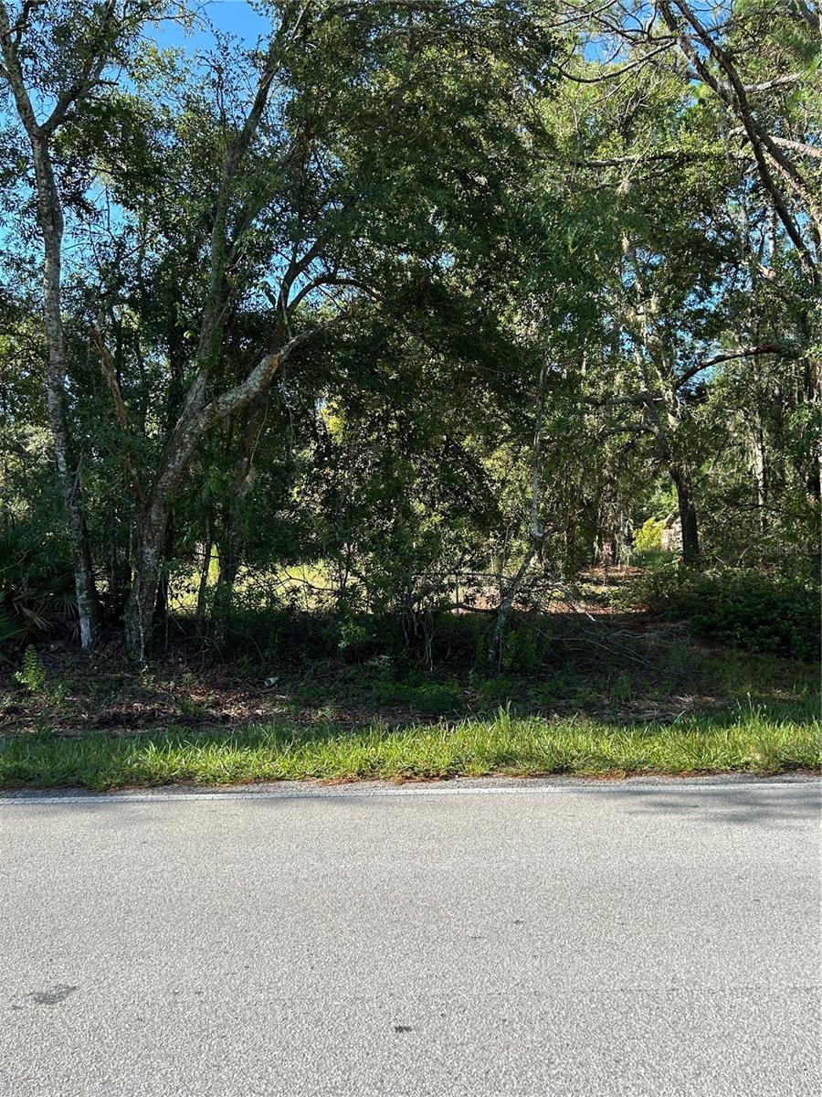 Welcome to 13.85 acres of opportunity in Wesley Chapel’s Quail Hollow community. This beautiful AR-1 zoned property offers privacy, paved county road frontage, and the freedom to create your dream estate, equestrian retreat, or multi-generational homestead. For peace of mind and to better understand the property’s development potential, buyers are encouraged to obtain a feasibility report from Pasco County. While much of the information can be gathered on your own, a professional study by an experienced engineer or land development consultant is highly recommended. Enjoy the quiet, natural setting while remaining just minutes from shops, dining, and major highways. Utilities include electricity at the road, with well and septic needed. For GPS navigation, use 7224 Quail Hollow Blvd, located across the street from the property.