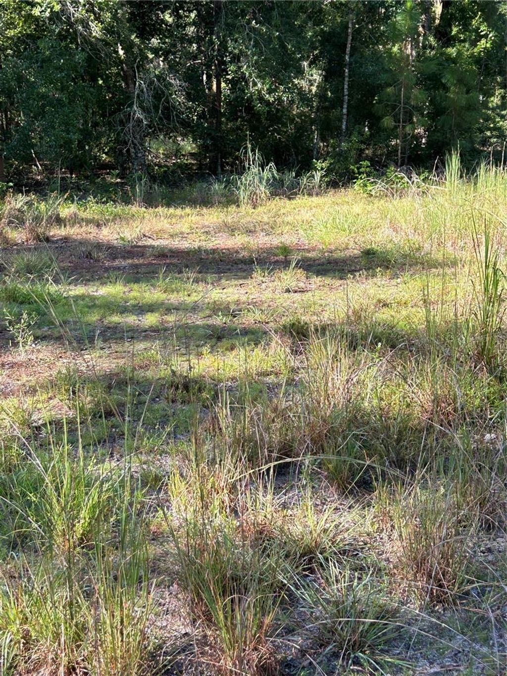 Photo of Quail Hollow Blvd, Wesley Chapel, FL 33544 (MLS # TB8417062)