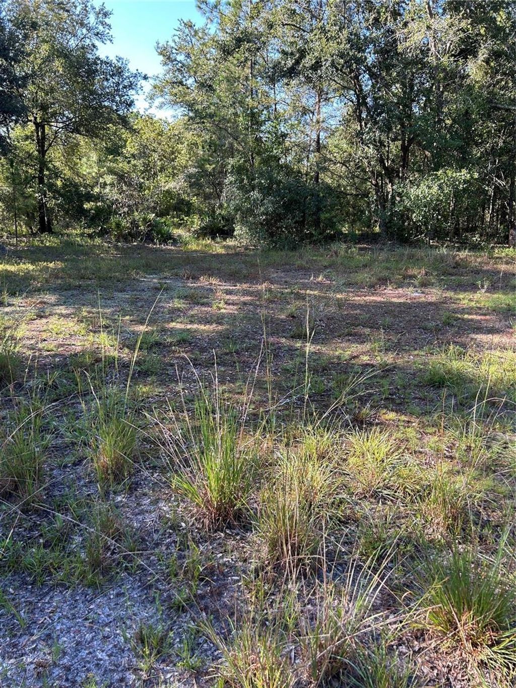Photo of Quail Hollow Blvd, Wesley Chapel, FL 33544 (MLS # TB8417062)