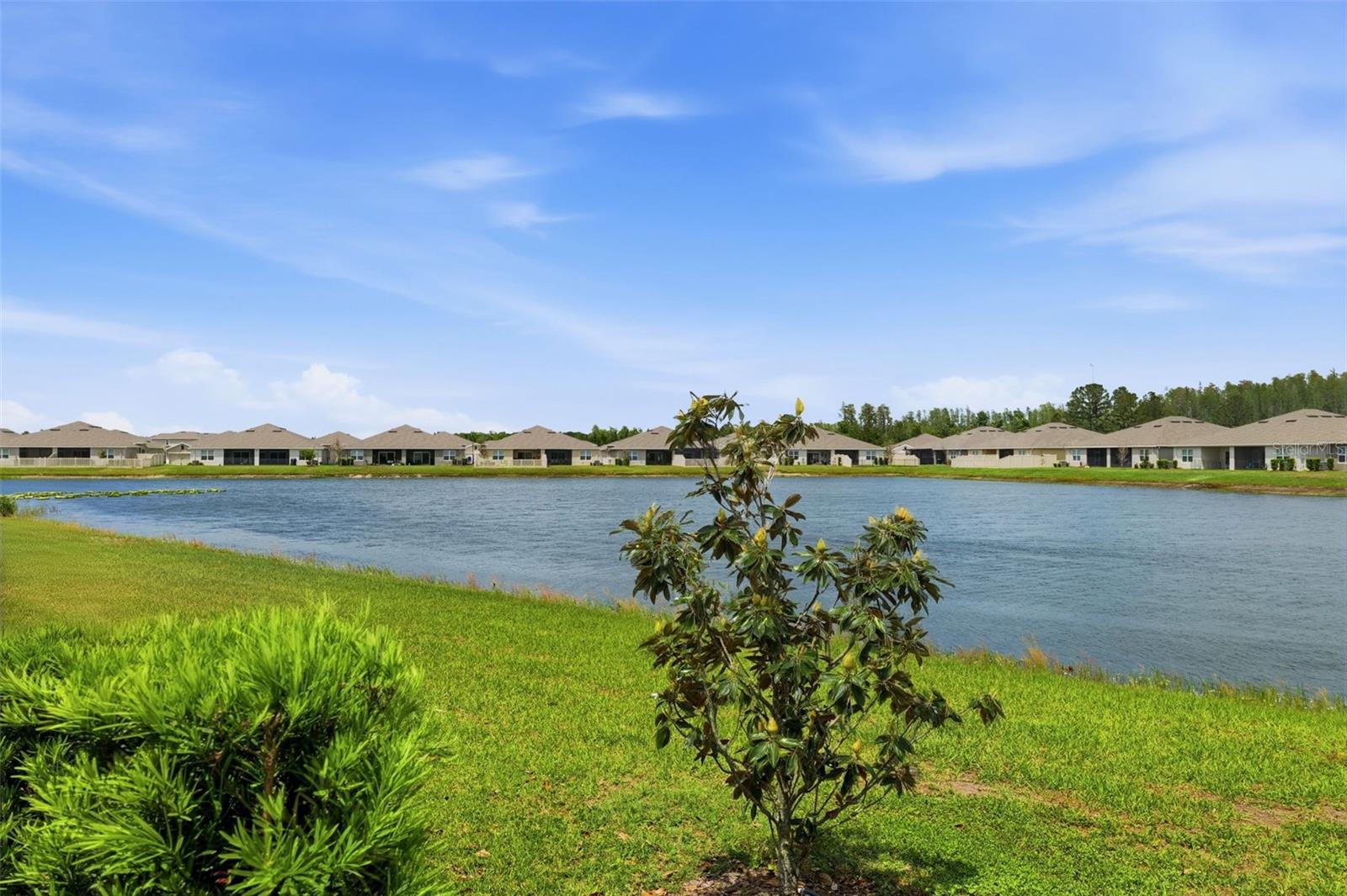 CYPRESS PRESERVE PH 2B 1 & 2B - Residential