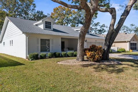 A home in SPRING HILL