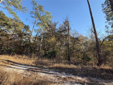 Tiny photo for 000 NE 126 Street, Bronson, FL 32621 (MLS # GC537562)