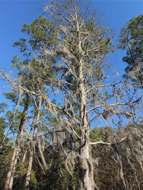 Tiny photo for 000 NE 126 Street, Bronson, FL 32621 (MLS # GC537562)