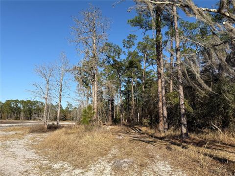 Tiny photo for 000 NE 126 Street, Bronson, FL 32621 (MLS # GC537562)