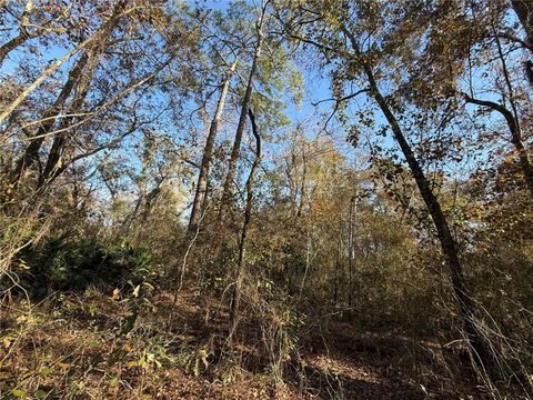 Tiny photo for 000 NE 126 Street, Bronson, FL 32621 (MLS # GC537562)