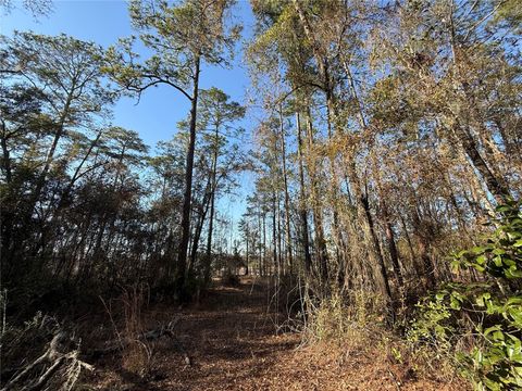 Tiny photo for 000 NE 126 Street, Bronson, FL 32621 (MLS # GC537562)