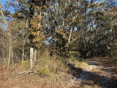 Tiny photo for 000 NE 126 Street, Bronson, FL 32621 (MLS # GC537562)