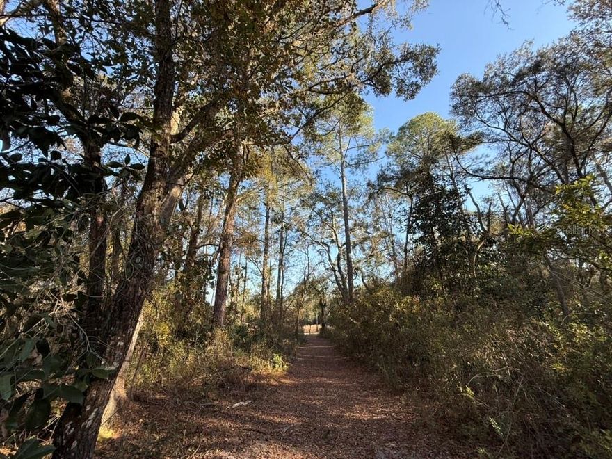 Where The Stars Still Shine. 
Quiet nights, dark skies, and the sound of nothing but nature — that’s what’s waiting for you on these two abutting 1.25-acre lots (sold together, 2.5 acres total) in up-and-coming Bronson, FL. Whether you’re dreaming of a weekend cabin, a manufactured or modular home, a homestead, or your own little mini-farm, these uncleared lots give you a blank canvas to build exactly the life you’ve been craving. Ride ATVs through the surrounding back roads, trail ride on horseback down quiet dirt lanes, or simply unplug from the city and breathe. The location checks every box — peaceful and private, yet close to everything that matters up here. You’re a quick drive from Gulf Coast saltwater fishing, with Gainesville’s top-notch medical facilities, shopping, and entertainment. The land itself is a mix of hardwoods and cypress, with wildlife throughout. Power pole is already at the entrance, roadways are cleared on both lots, and a private maintained dirt road leads you to the end of the neighborhood. Partially fenced. 
No HOA, covenants, or deed restrictions. Just good, quiet neighbors and land that’s truly yours. Over 1 acre so new nitrate septic tank is not required. 
Yes, it’s down a FL dirt/sandy road. It’s not a water front property anymore, maybe again someday…but you can probably trail ride horses or side x sides out here. Seller was going to build a cabin and enjoy R&R, but time and wishes have moved forward, Now it’s time to sell.

Two 1.25 Acre Lots are being sold together, not separately. If you like QUIET, this is that place. You’ll probably see lightening bugs out here among all the wildlife and critters too. Its a big neighborhood setting with a mix of site built homes and mobile homes.