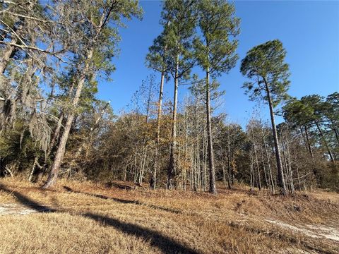 Tiny photo for 000 NE 126 Street, Bronson, FL 32621 (MLS # GC537562)