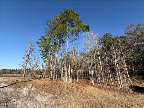 Tiny photo for 000 NE 126 Street, Bronson, FL 32621 (MLS # GC537562)