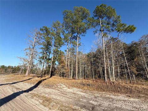 Tiny photo for 000 NE 126 Street, Bronson, FL 32621 (MLS # GC537562)