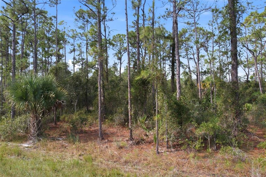 Discover the perfect spot to build your Florida dream home on this spacious oversized lot on Einstein St North Port (34291). Nestled in the desirable 28th addition, this property offers privacy, tranquility, and plenty of room for your ideal layout- whether you envision a pool, garden, or extra garage space. Conveniently located near I-75, US-41(Tamiami Trail), and just a few minutes from shopping, dining, top-rated schools, and North Port's many parks and recreational areas. Invest now in one of Florida's fastest growing communities!