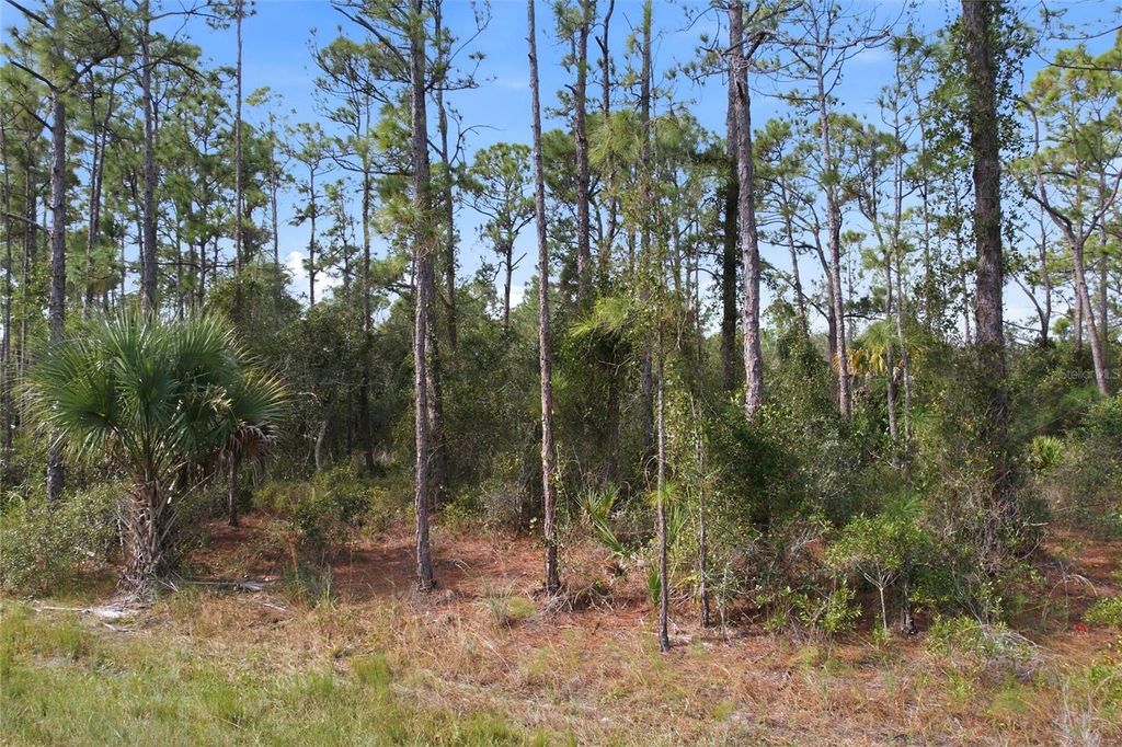 Photo of Einstein Street, North Port, FL 34291 (MLS # NS1086510)