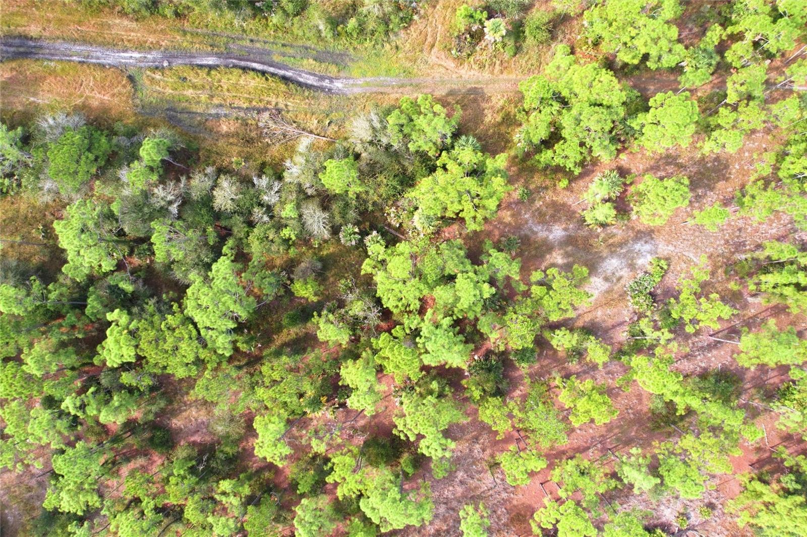 PORT CHARLOTTE SUB 28 - Land