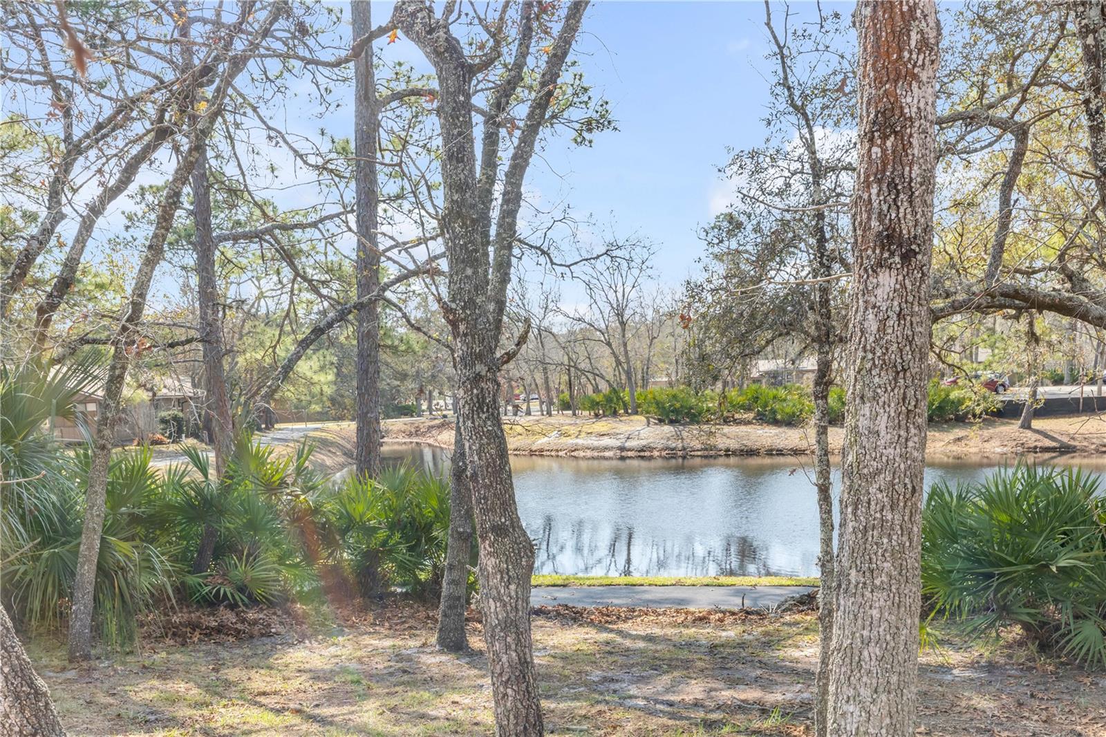 SUMMER TREES UNIT 03B - Residential