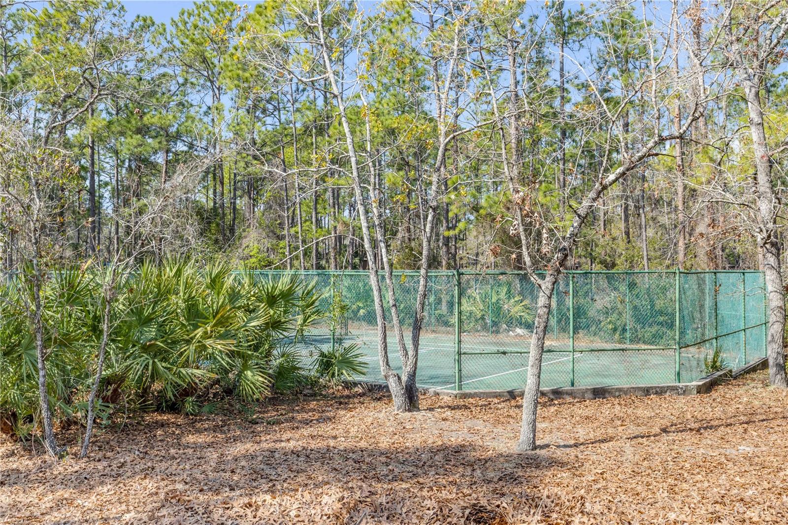 SUMMER TREES UNIT 03B - Residential