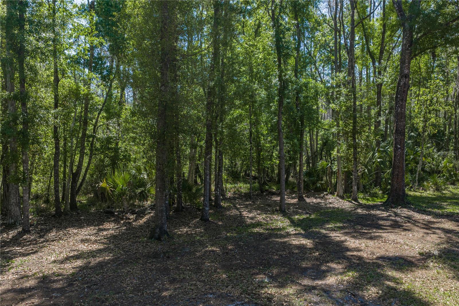 HOMESTEADS SADDLEWOOD - Residential