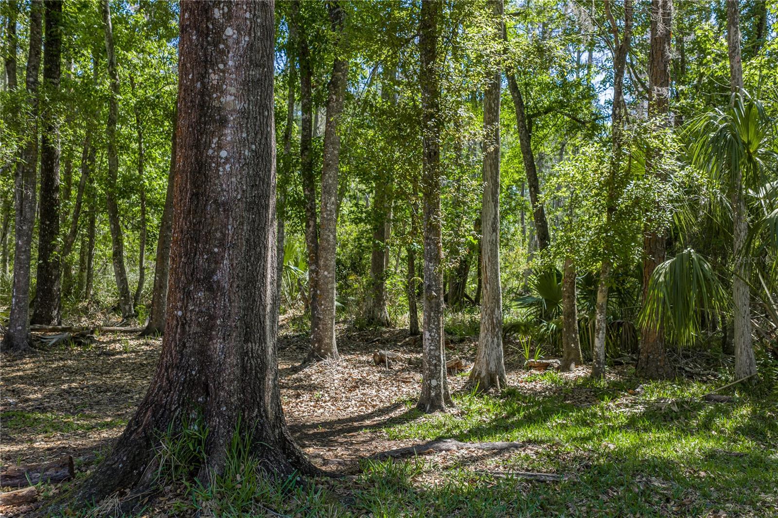 HOMESTEADS SADDLEWOOD - Residential