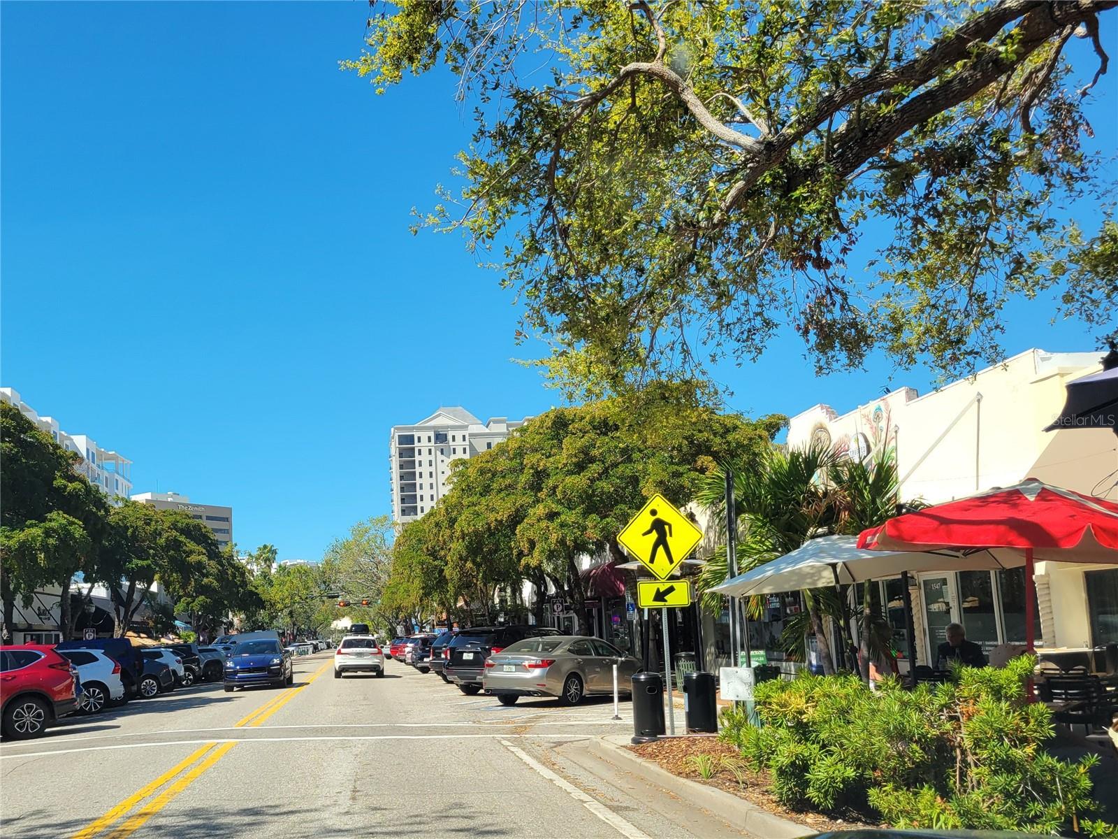 RIVO AT RINGLING - Residential