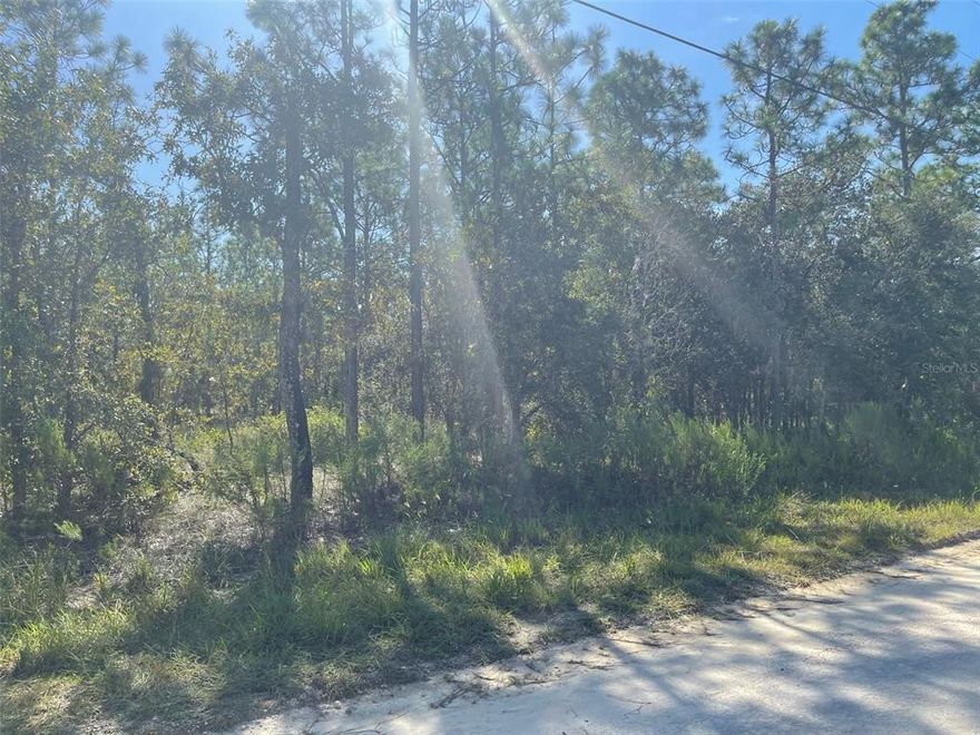 Beautiful 0.46 acre lot in the desirable location of Royal Highlands Unit 7.   High, dry, flat and level.  Minimal trees a plus!!  Ready to build your dream home.  Next door property is owned by SFWMD and across the street is owned by Hernando County so neighbors are limited.  View of retention pond from front with a no build. Florida’s Nature Coast offers state parks, beaches, caves, trails, shopping and much more.