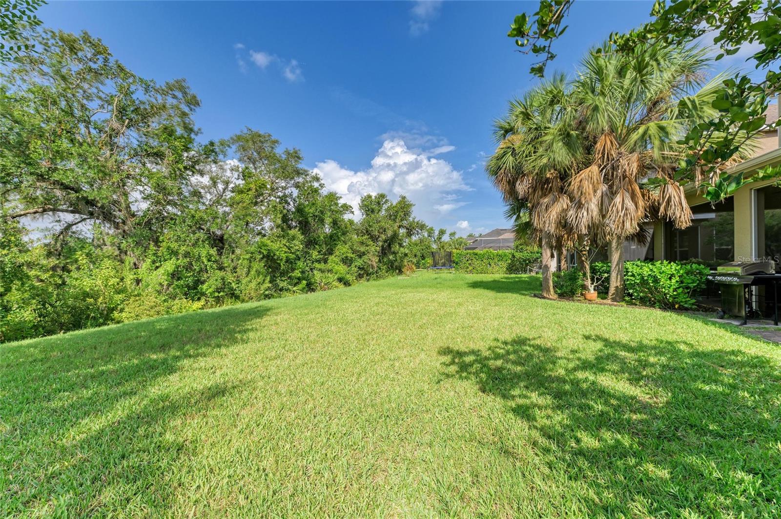 ARBOR LAKES ON PALMER RANCH - Residential