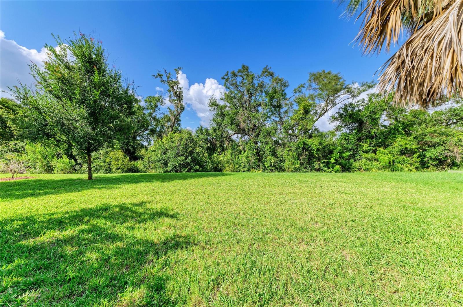 ARBOR LAKES ON PALMER RANCH - Residential