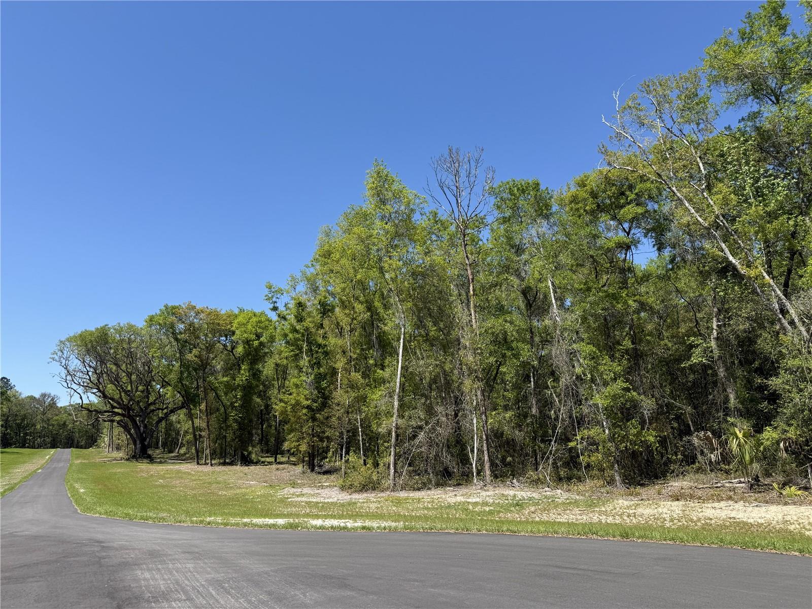 Irvine Acres #5 (13ac) W HWY 318