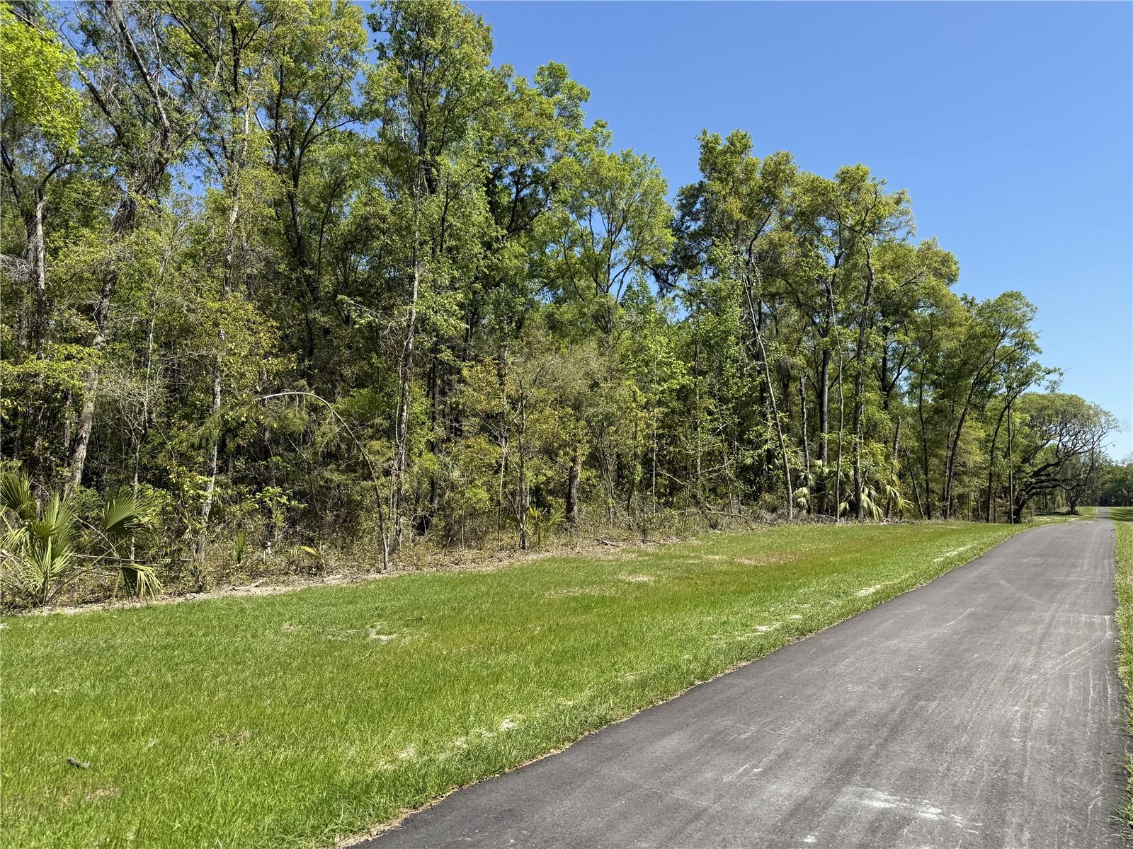 Irvine Acres #5 (13ac) W HWY 318