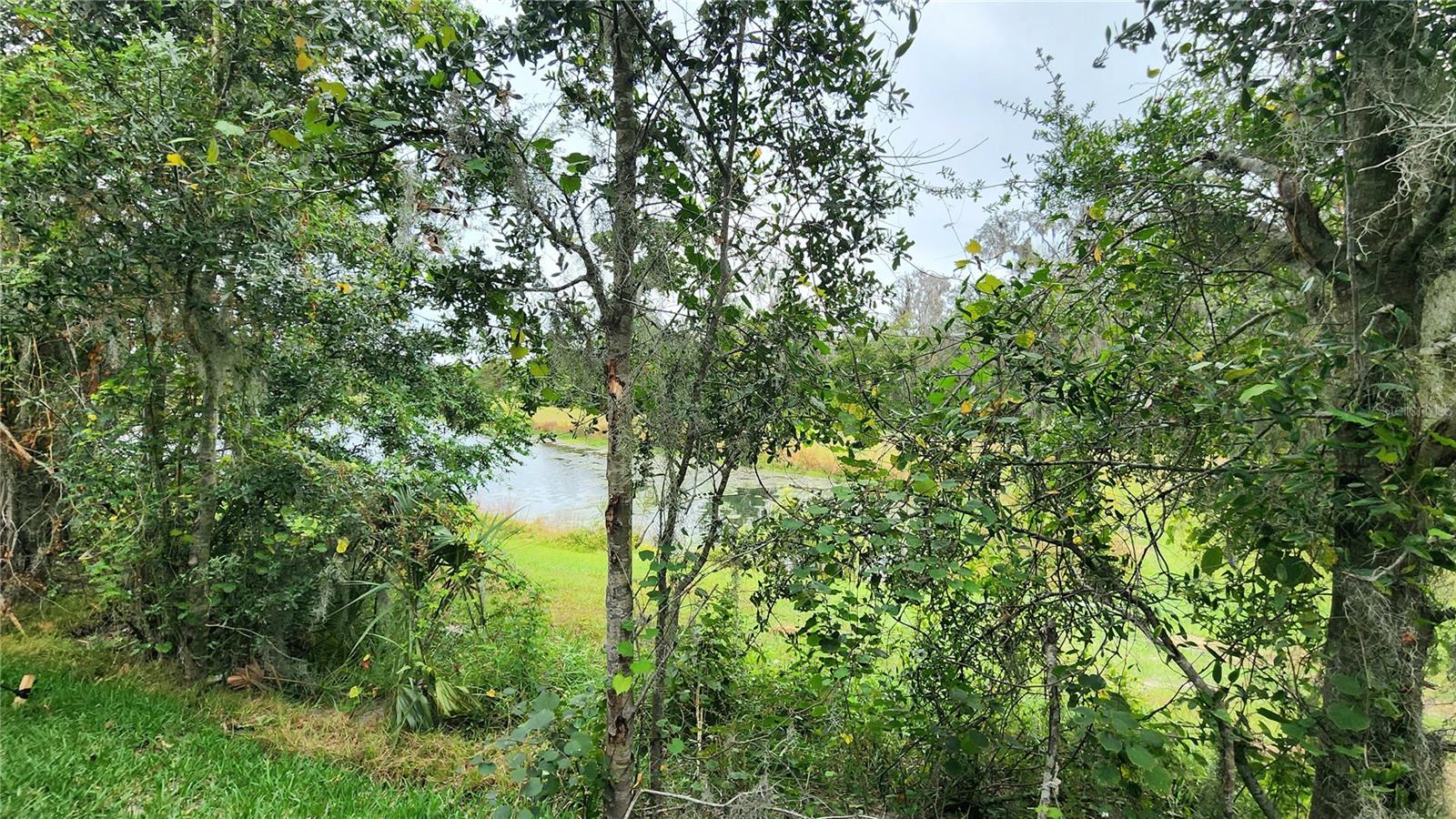 D06 HAWK TOWNHOMES - Residential Lease