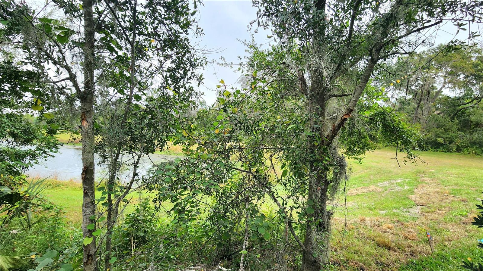 D06 HAWK TOWNHOMES - Residential Lease