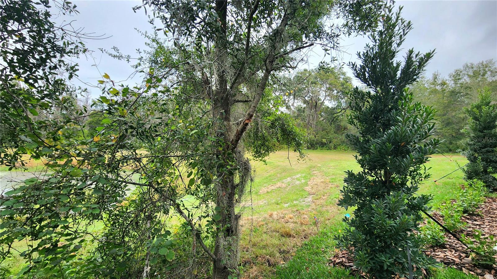 D06 HAWK TOWNHOMES - Residential Lease