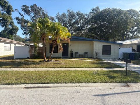 Photo of 5210 S Zion Street, Tampa, FL 33611 (MLS # TB8453827)