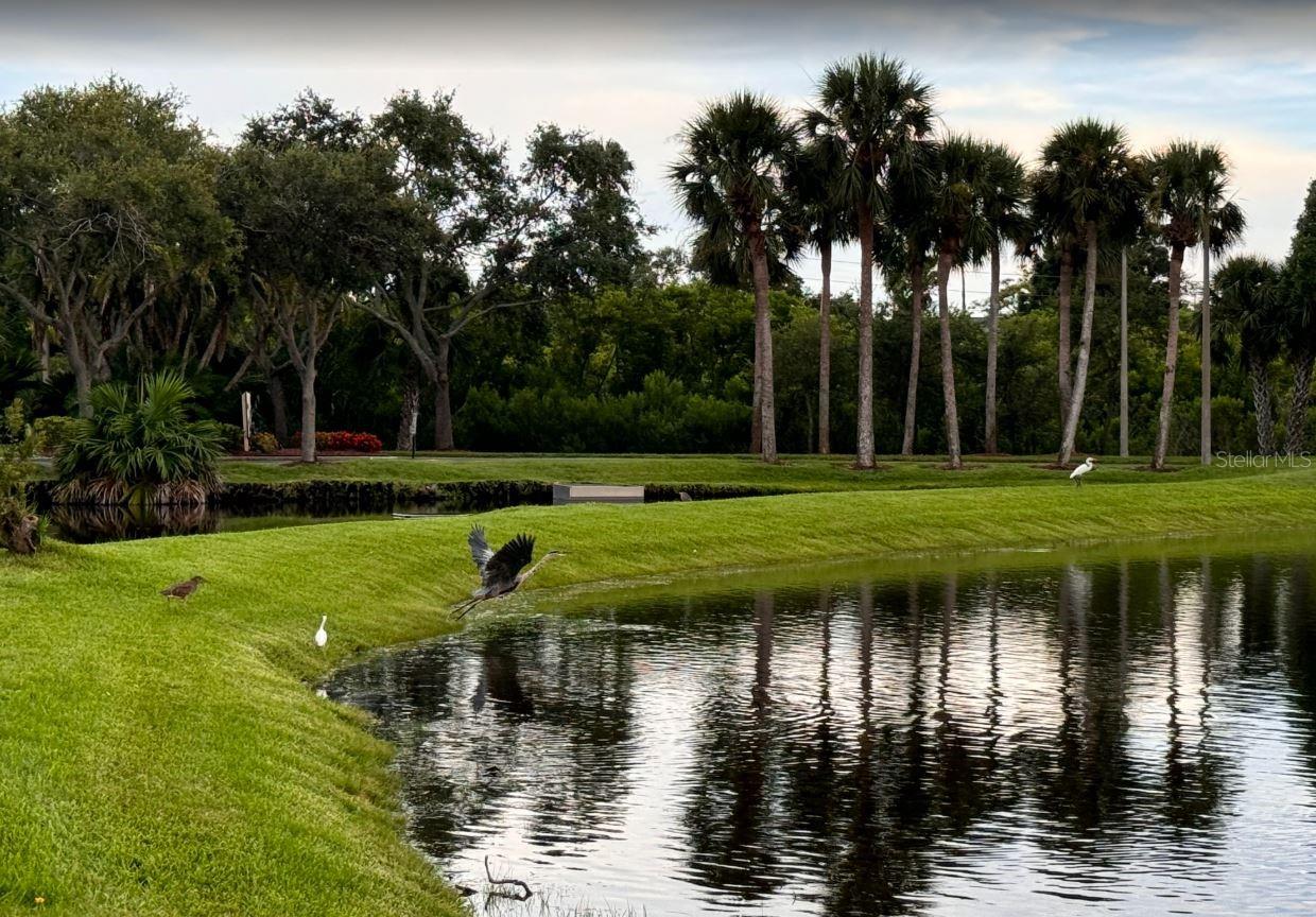 SHORES OF LONG BAYOU CONDO - Residential