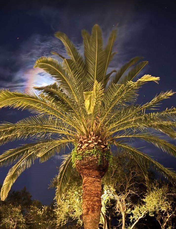 SHORES OF LONG BAYOU CONDO - Residential