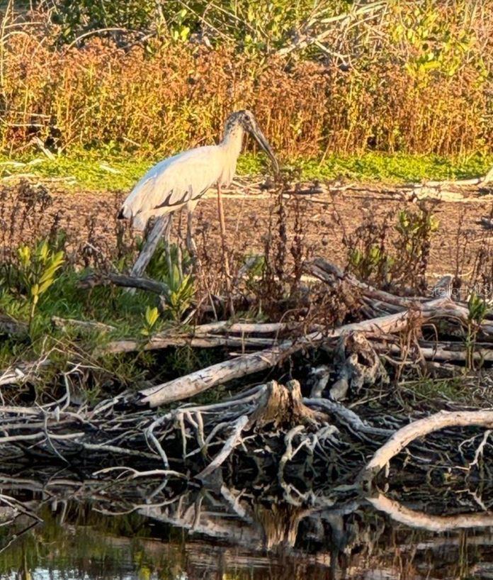 SHORES OF LONG BAYOU CONDO - Residential